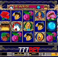 777bet Rio de Janeiro - Bonus Terms